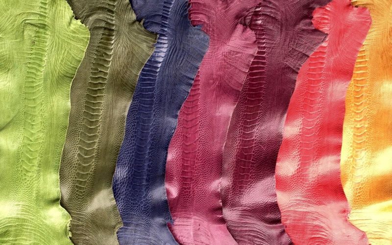 Da đà điểu được đánh giá là một trong những loại da cao cấp và bền bỉ