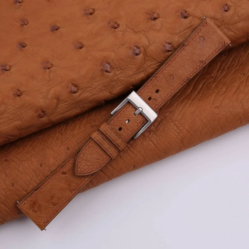 Các nốt nang lông (quill) trên da thật phân bố tự nhiên và không đồng đều tuyệt đối