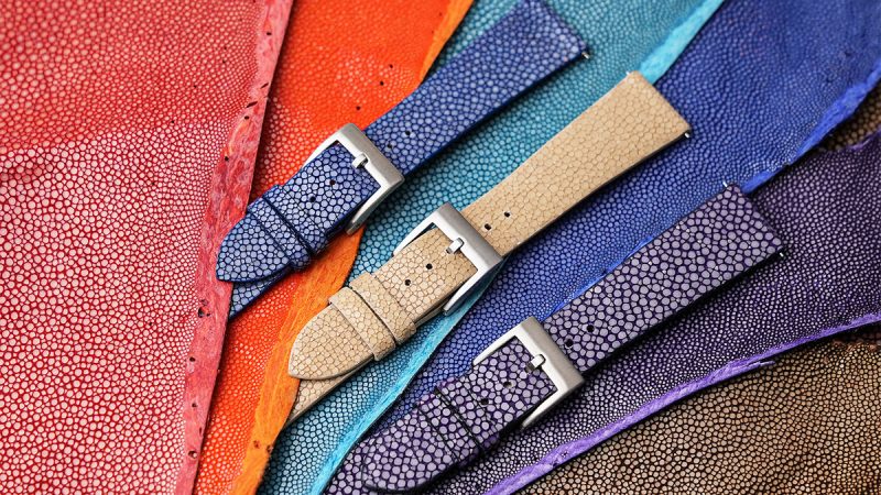 Ly do nen so huu day dong ho da ca duoi 4